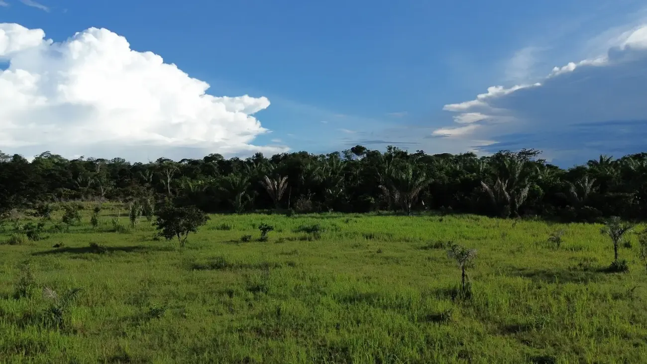 PIRI REDD Project in Colombia